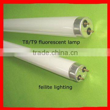 T8/T9/T10/T12 fluorescent light