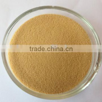 High quality corn protein peptide for food additive