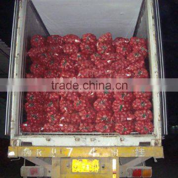 China New Crop Fresh Onion photo-5