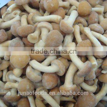 Grade A Chinese Nameko Mushroom Spawn for Sale photo-6