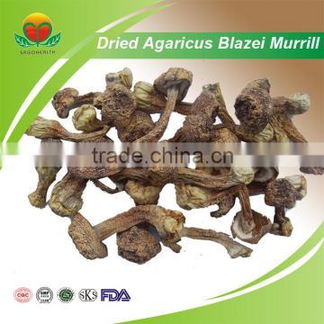 Best Seller of Agaricus Blazei Murrill