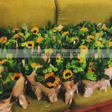 Fresh Cut Sunflower Helianthus Annuus