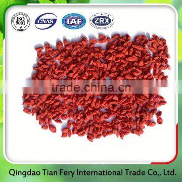 Goji Berries Export French Portugal