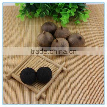 Korean Black Garlic Seed Sale