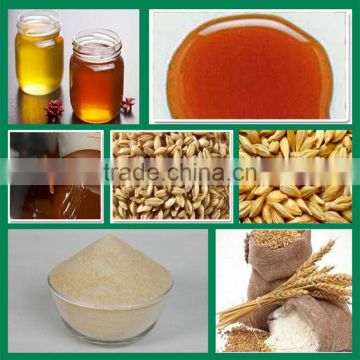 export quality Liquid Malt Extract, Wheat Liquid Malt Extract