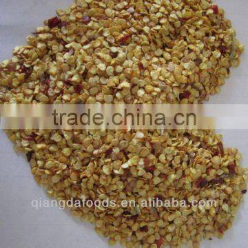 HOT JINTA CHILI SEEDS