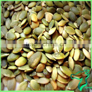 Hot Sale White Pumpkin Seeds Kernels