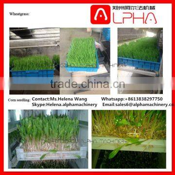 Factory price grass seeds planting machine machine for grow grass hydroponic growing systems