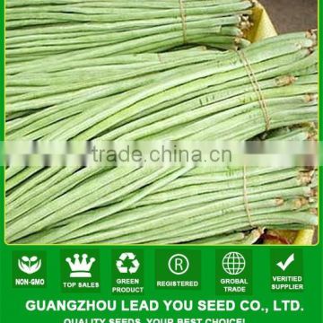 NBE09 Buji quality long bean seeds factory