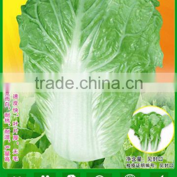 CC04 SJ No.5 early ripe Chinese cabbage seed, hybrid Chinese cabbage seeds