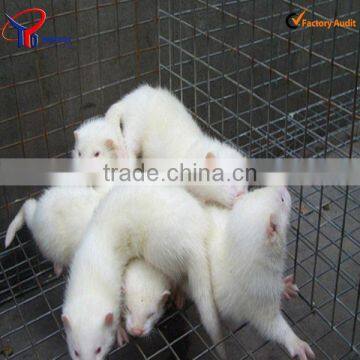 different material mink cages factory price