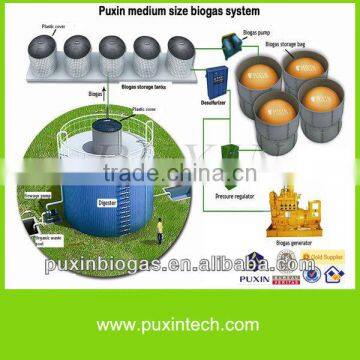 High performance PUXIN big size biogas plant suitable for cow dung treatment