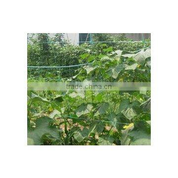 (cucumber support net,crop support netting,pea and bean netting,trellis support netting)Plant support net