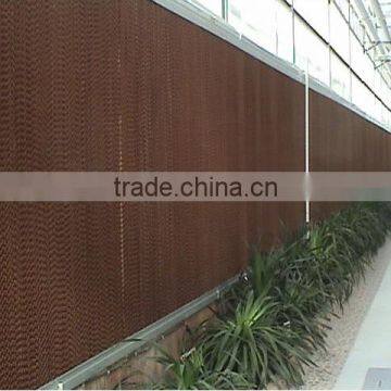 Vegetable Greenhouse photo-6