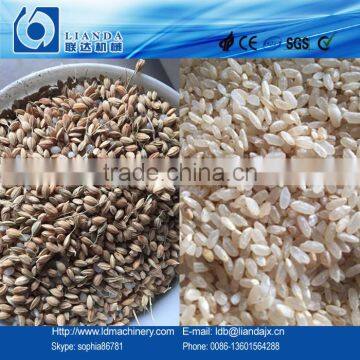 Rice Polish Machine photo-3