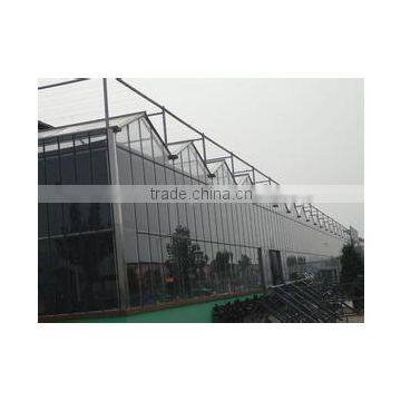 Large Glass Agricultural Greenhouses Supply by Qingzhou Shuiwang Comapny photo-3