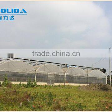 Balckout Greenhouse 0.08mm or 0.15mm PE Film Greenhouse Polythene Greenhouse photo-3