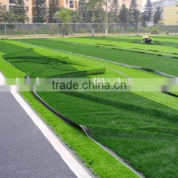 FIFA Factory Price pe Material Fake Turf Artificial Grass Lawn photo-2