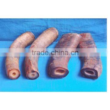 Buffalo Horn Solid Tips photo-5