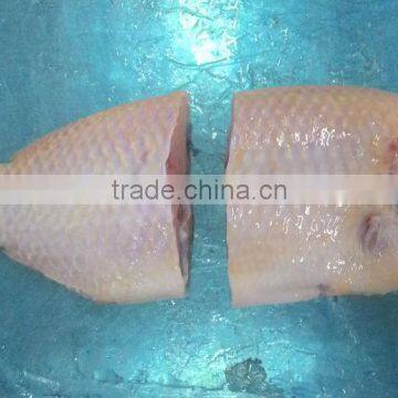BLACK TILAPIA/ RED TILAPIA/ OREOCHROMIS/ PERCH photo-6