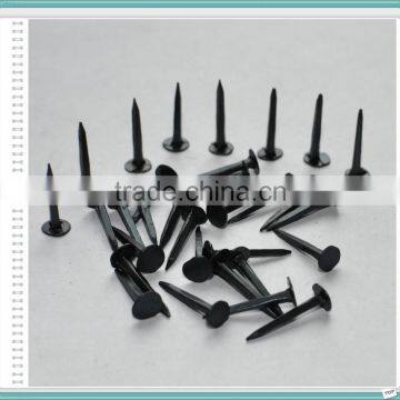 Blue Shoe Tack Nails photo-4