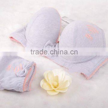 Fashionable Sexy Hot Girls Sets 2016 Latest Design Net Ladies Bra and Panties photo-3