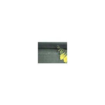 Black Wire Cloth