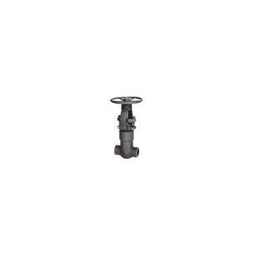 Forged Steel Gate Valve