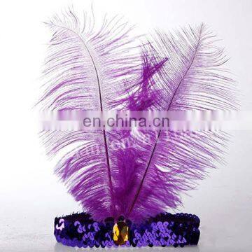 (DX-JQ-0461)PURPLE OSTRICH FEATHER CARNIVAL FEATHERS