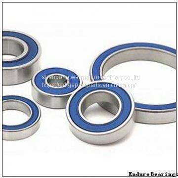 Enduro Bearings
