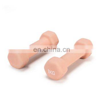 Fitness Equipment Adjustable Dumbbell Logo Plastic Dip Dumbbell Sets
