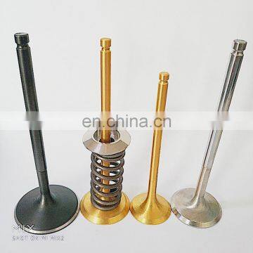 1nzfe 1fz Global Titanium Gold Coating Engine Valve Market OEM Parts for Nissan TB42 TB45 TB48 Y60 Y61 Y62 Tb48 TB48DE photo-4
