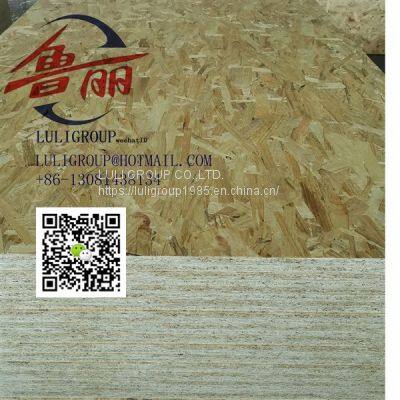 Luliwood Osb5 photo-4