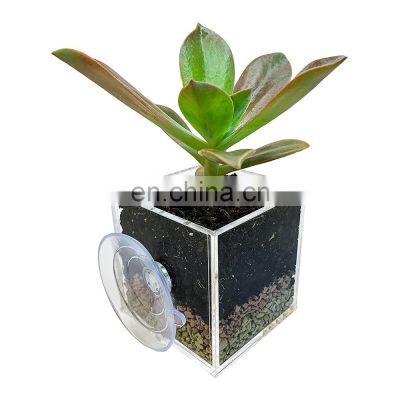 Window Suction Plant Pot - Square Shape, Window Planter with Suction Cup for Flower, Herbs, Indoor Home Kitchen Decor Plant Pots