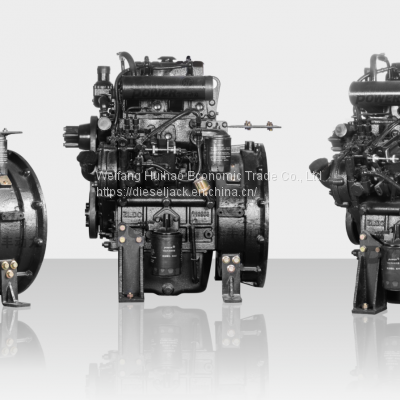 Two-cylinder diesel engine for power generation
