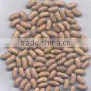 chinese white kidney beans