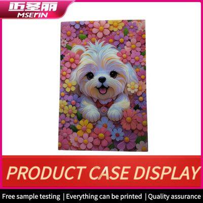 Clorlor Full Acrylic UV Printing