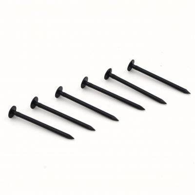 Straight Shank Black Nails Factory Direct Supply With Stable Lead Time photo-4