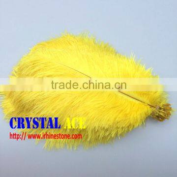 Dyed Ostric Feather, Feather Ostric Plumes for Carnival Costumes photo-6