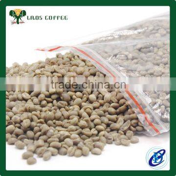 Green Coffee Beans Price Green Arabica Coffee Beans for Sale photo-3
