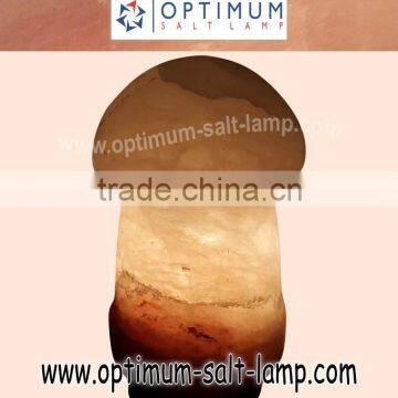 HIMALAYAN SALT LAMP - MUSHROOM OVATE SHAPE