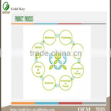 Hot Selling Olive Leaf Extract in Herbal Extract photo-4