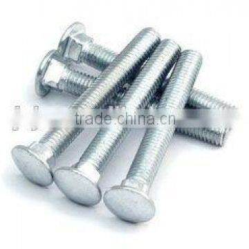 Fasteners sales promotion zinc plate carriage bolt