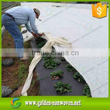 PP Agricultural Nonwoven Fabric, Anti UV Treated pp Spunbond Non-woven Fabric, Agriculture Nonwoven Fabric for Fruit,plant