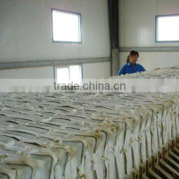 Titanium Dioxide Rutile R299 ( for Plastic) photo-2