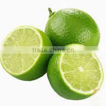 FRESH LIME WITH BEST PRICE AND GOOD QUALITY