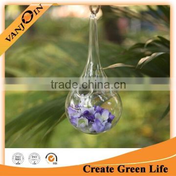 Decoration Hanging Glass Vase Teardrop Globe Terrarium