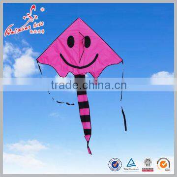 delta kite promotion kite