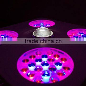 CXA 3070 COB LED Grow Light 200w photo-6
