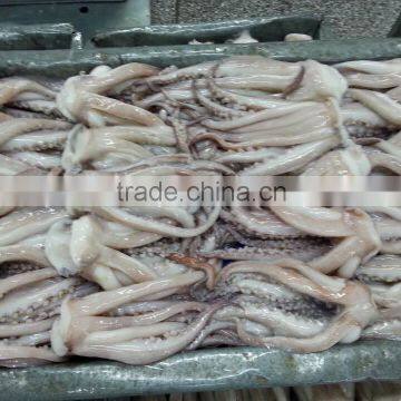 Frozen Squid Tentacle